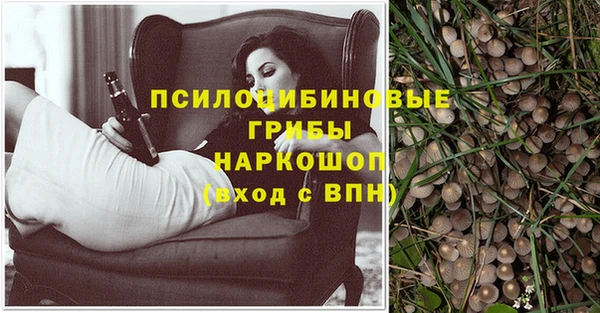 крисы Михайлов