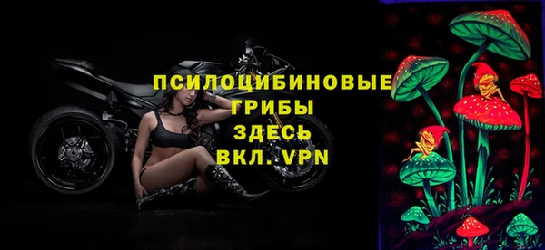 стафф Михайловка