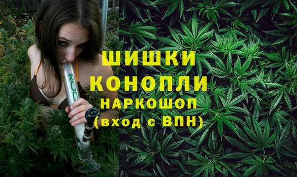 крисы Михайлов