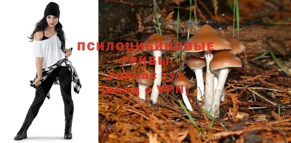 стафф Михайловка