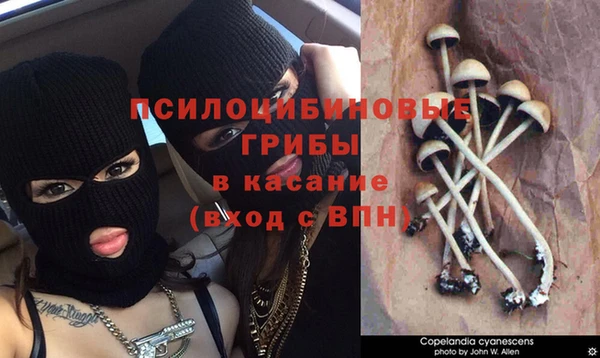 гашишное масло Абаза