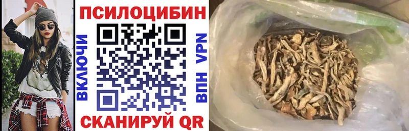 ОМГ ОМГ ссылки  Южноуральск  Галлюциногенные грибы Psilocybine cubensis 